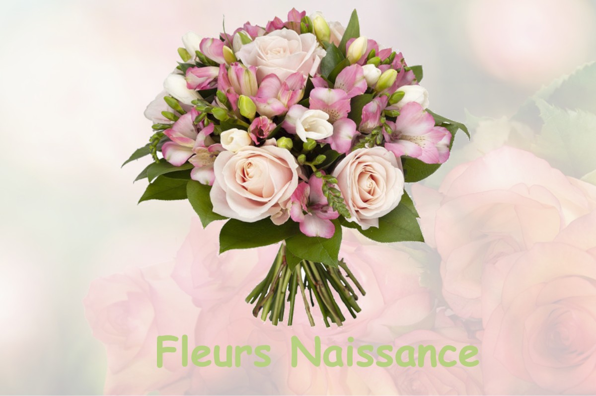 fleurs naissance VIRIEU