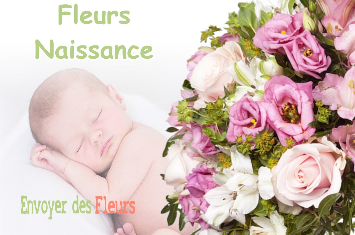 lIVRAISON FLEURS NAISSANCE à VIRIEU